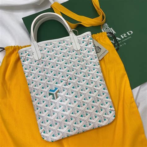 Goyard 2022 Poitiers Claire Voie Bag .